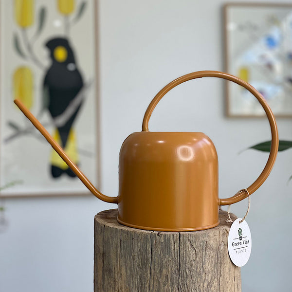 Como Watering Can 1.7L Cinnamon