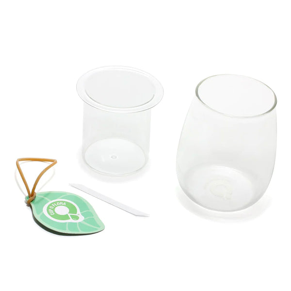 Mini Clear Self Watering Glass Pot