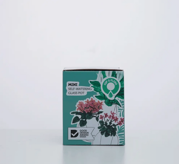 Mini Clear Self Watering Glass Pot