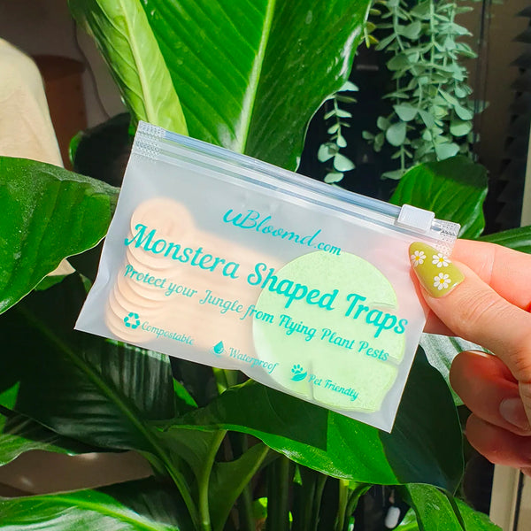 uBloomd Monstera Green Plant Traps x10