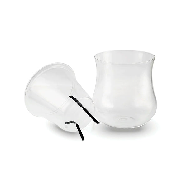 X-Large Clear Self Watering Glass Pot