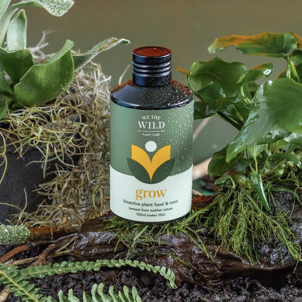 We The Wild Grow Food & Tonic Concentrate 150mL