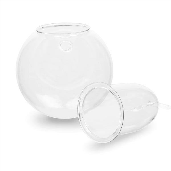 Wall Mounted Clear Self Watering Glass Pot