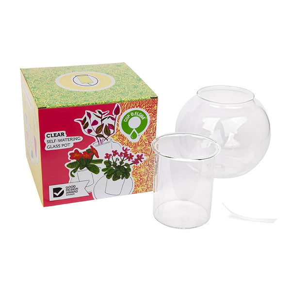 Medium Clear Self Watering Glass Pot