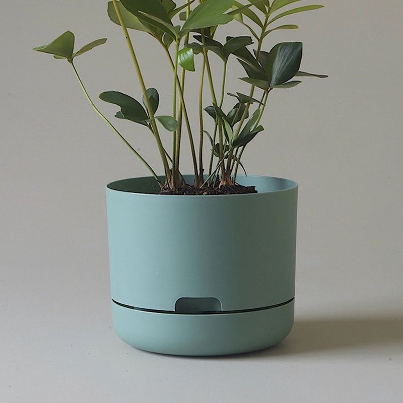 mr kitly self-watering plant pot Mr Kitly Selfwatering Pot 21.5cm Cabinet Green – The Green Vine Plants
