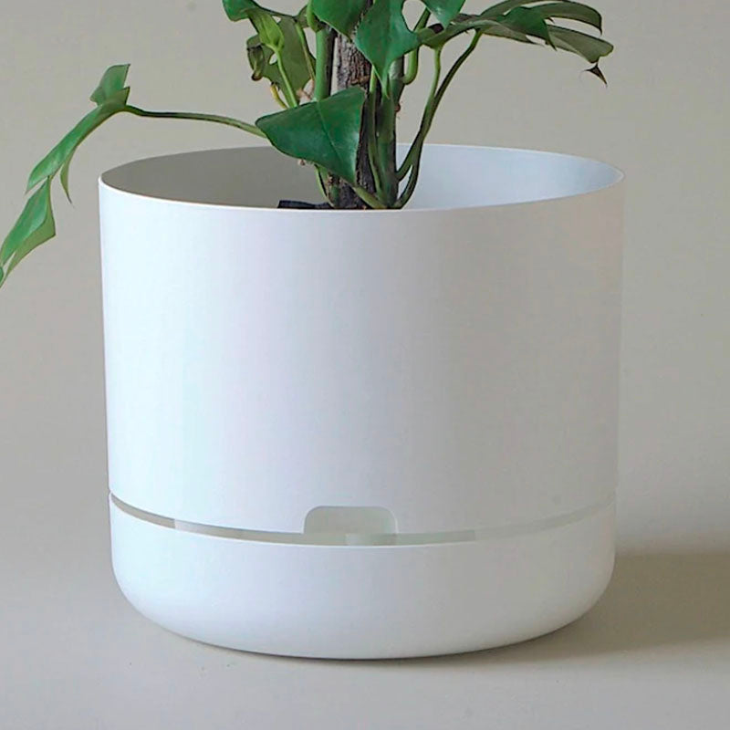 mr kitly self-watering plant pot Mr Kitly Selfwatering Pot 30cm White – The Green Vine Plants