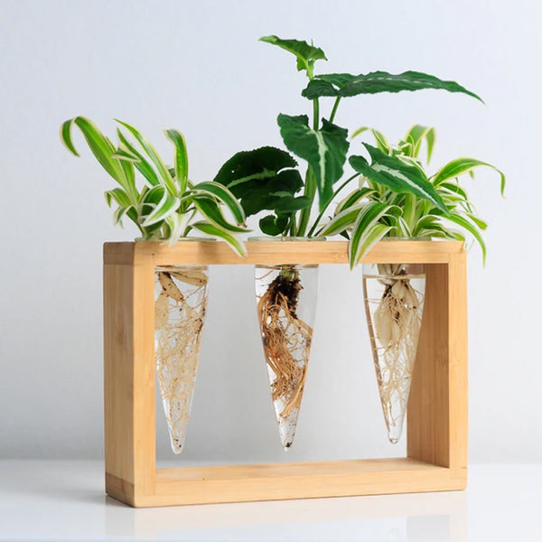 Proppi 3 Propagation Station