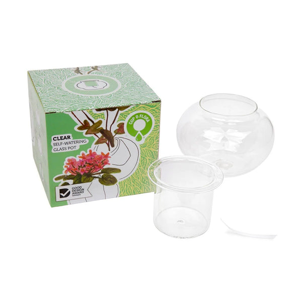 Small Clear Self Watering Glass Pot