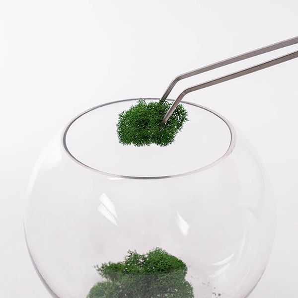 Terrarium Tweezers & Scissor Set