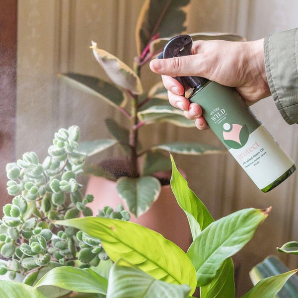 We The Wild Protect Spray 250mL