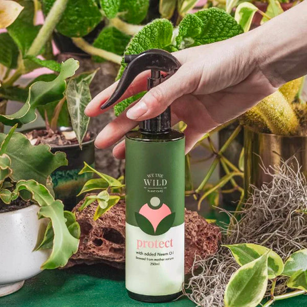 We The Wild Protect Spray 250mL