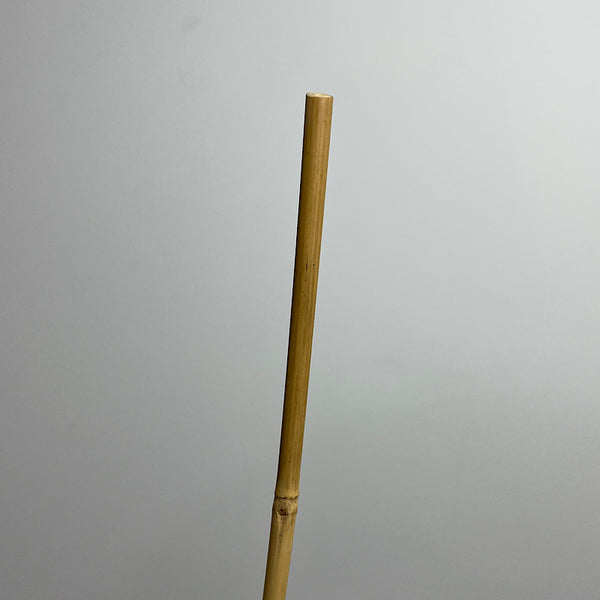 Bamboo Plant Stake 60 cm
