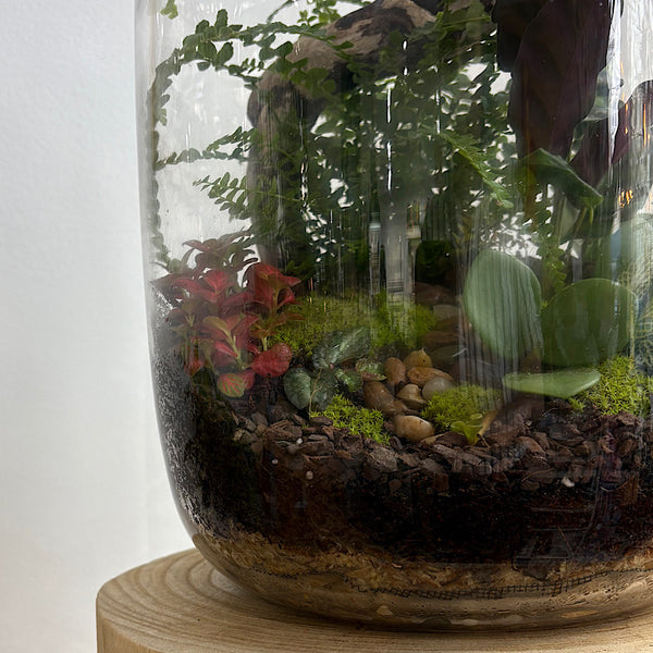 X-Large Globe Terrarium with Lush Forest #0409