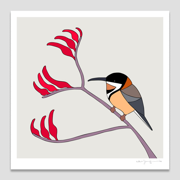 Eastern Spinebill and Kangaroo Paw Art Print by Eggpicnic