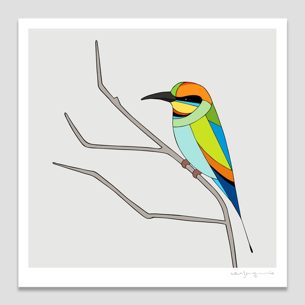 Rainbow Bee-Eater Art Print by Eggpicnic