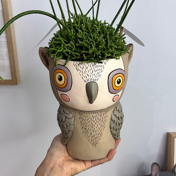 Rhipsalis in Hooty Owl Pot