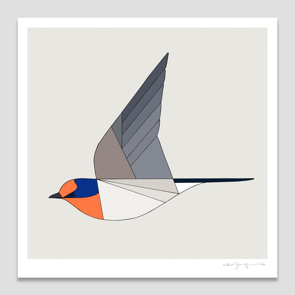 Welcome Swallow in Flight Art Print by Eggpicnic