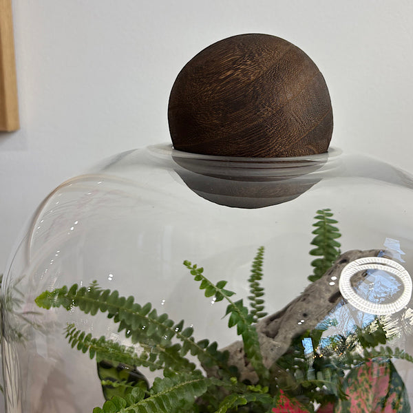 Jumbo Helga Terrarium with Lush Forrest with Timber Base and Ball #0209