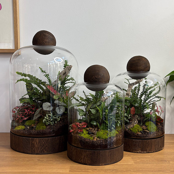 Jumbo Helga Terrarium with Lush Forrest with Timber Base and Ball #0209