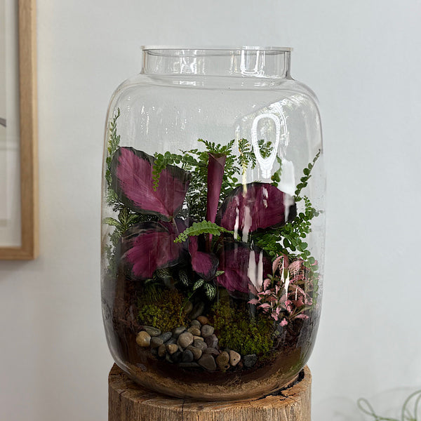 X-Large Globe Terrarium with Lush Forest #0802