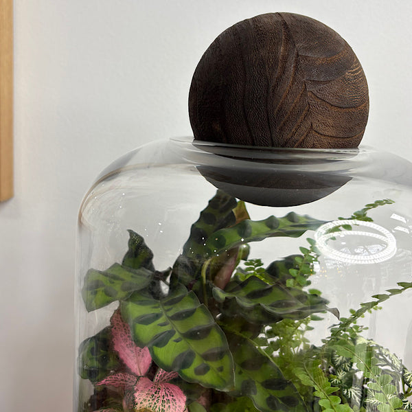 Large Helga Terrarium with Lush Forrest with Timber Base and Ball #0813