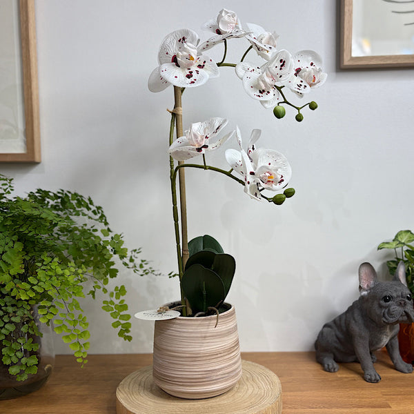 Artificial Phalaenopsis White Speckle Orchid in Pot