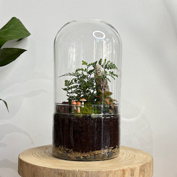 Capsule Dome Forrest Terrarium with Mushrooms