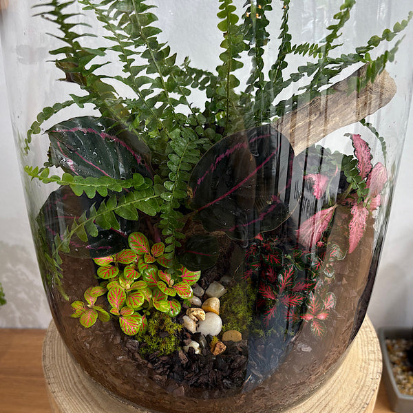 Large Globe Terrarium with Lush Forrest #1510