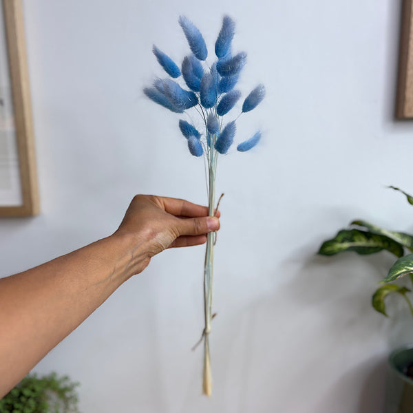 Preserved Bunny Tails