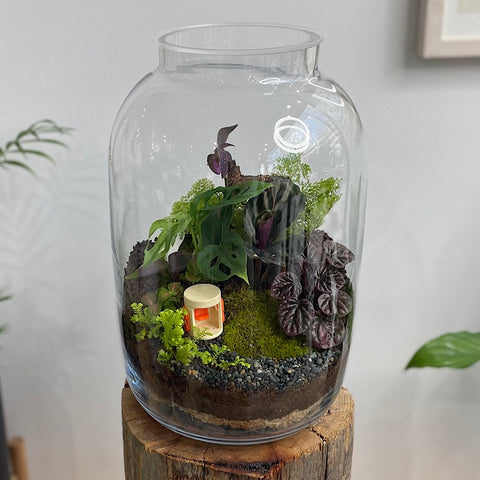 X-Large Globe Terrarium with Lush Forest and Canberra Bus Stop #2909