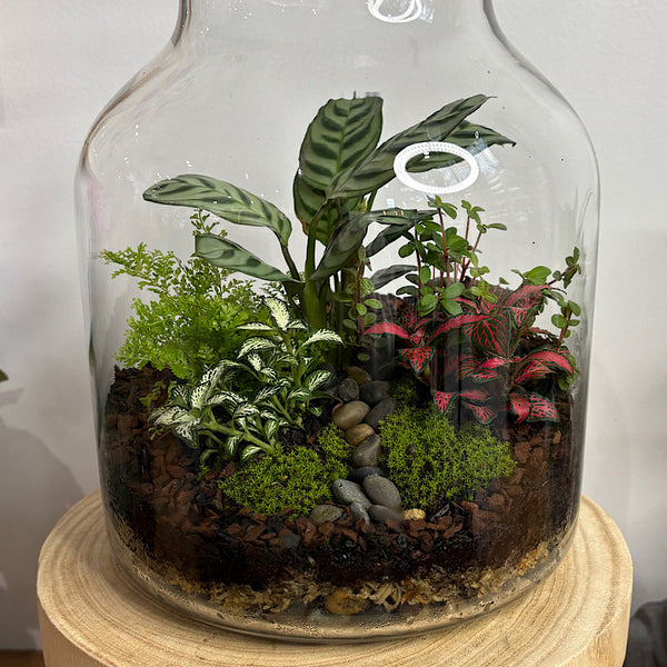 Lush Large Bell Terrarium with Glass Orb #0406