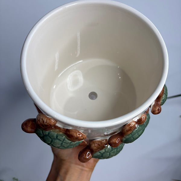 Family of Turtles Planter Pot Green 15cm