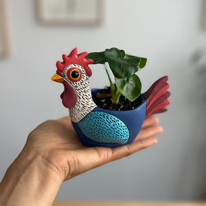 Philodendron in Baby Rooster Planter