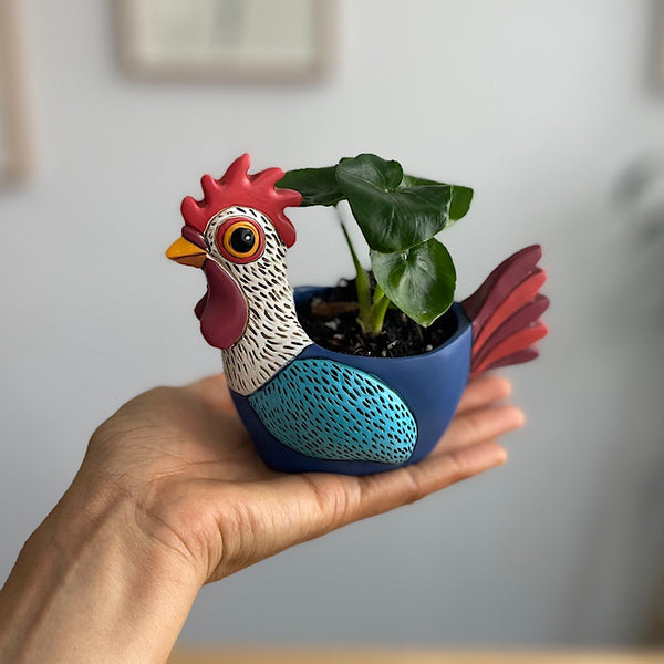 Philodendron in Baby Rooster Planter
