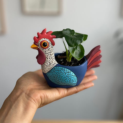 Philodendron in Baby Rooster Planter