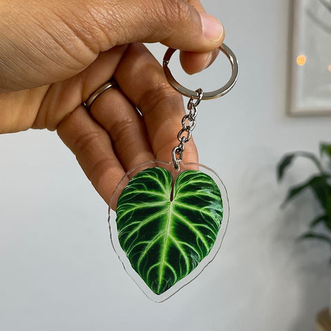 Acrylic Leaf Keychain Philodendron Verrucosum