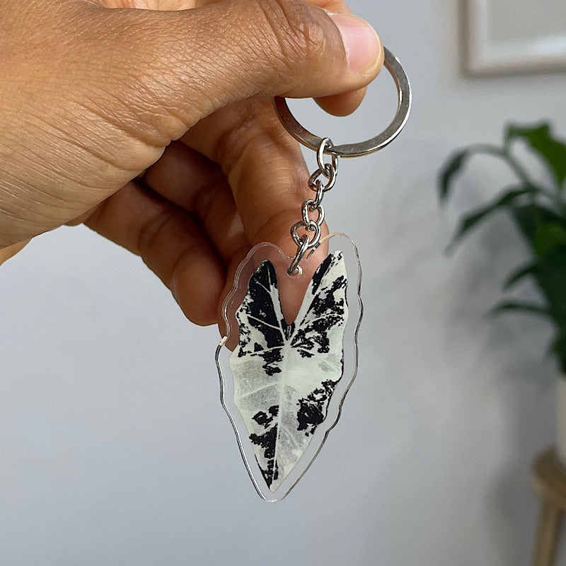 Acrylic Leaf Keychain Alocasia Frydek Variegated