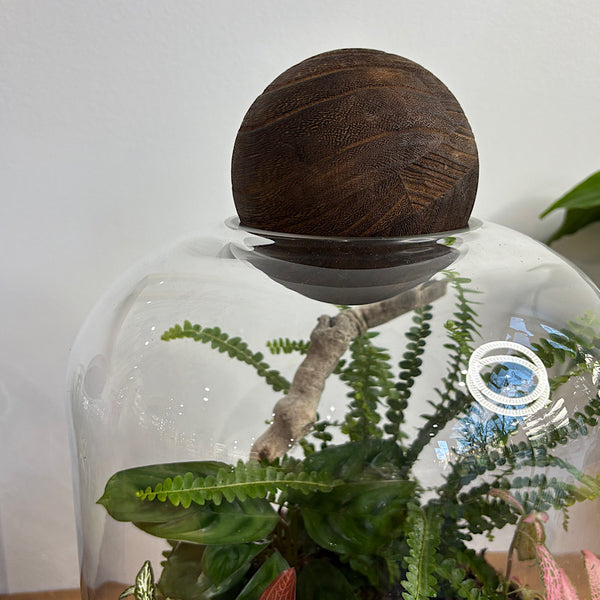 X-Large Helga Terrarium with Lush Forrest with Timber Base and Ball #0209