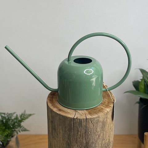 Como Watering Can 1.7L Eucalypt