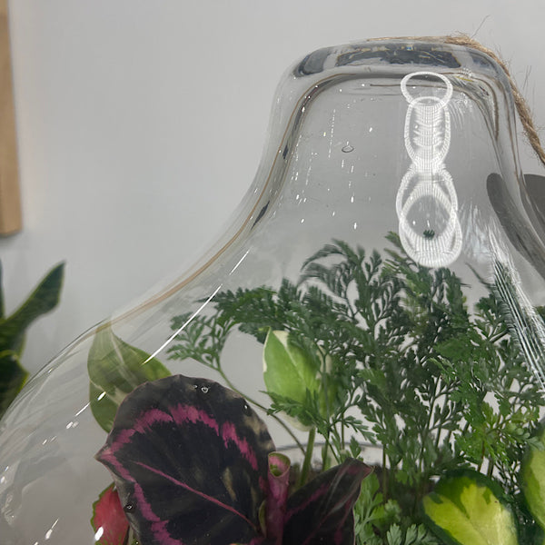 Large Teardrop Dome Terrarium #0424