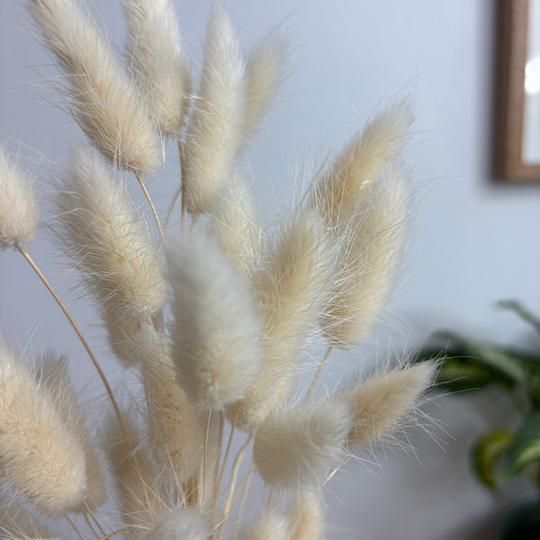Preserved Bunny Tails