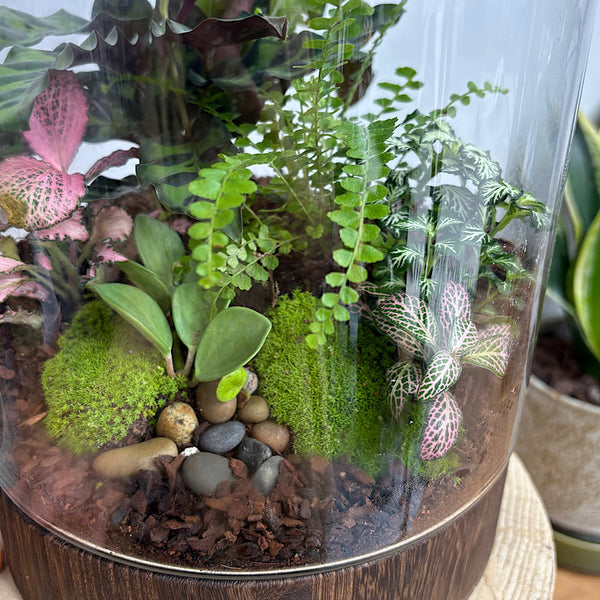 Large Helga Terrarium with Lush Forrest with Timber Base and Ball #0813