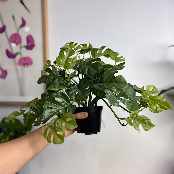 Artificial Monstera Hanging Pot Plant