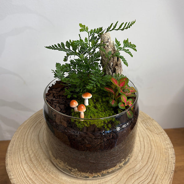 Capsule Dome Forrest Terrarium with Mushrooms