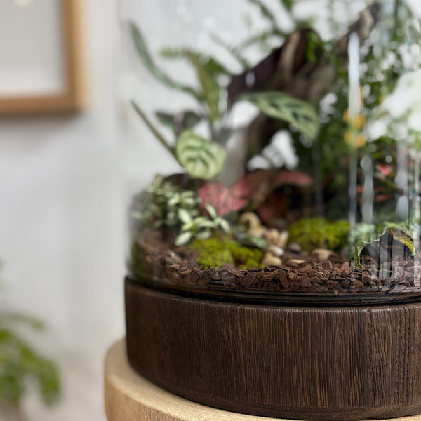 X-Large Helga Terrarium with Lush Forrest with Timber Base and Ball #1510