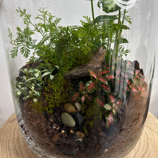 Large Frida Lush Terrarium