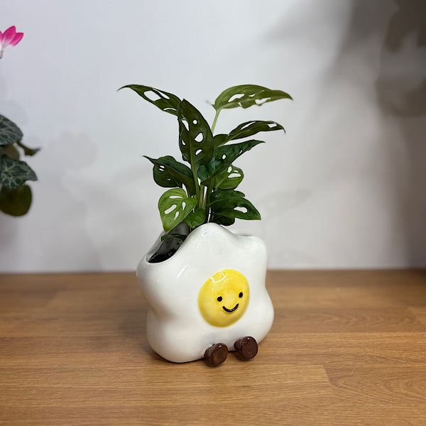 Monstera Monkey Mask in Ellie Egg Pot