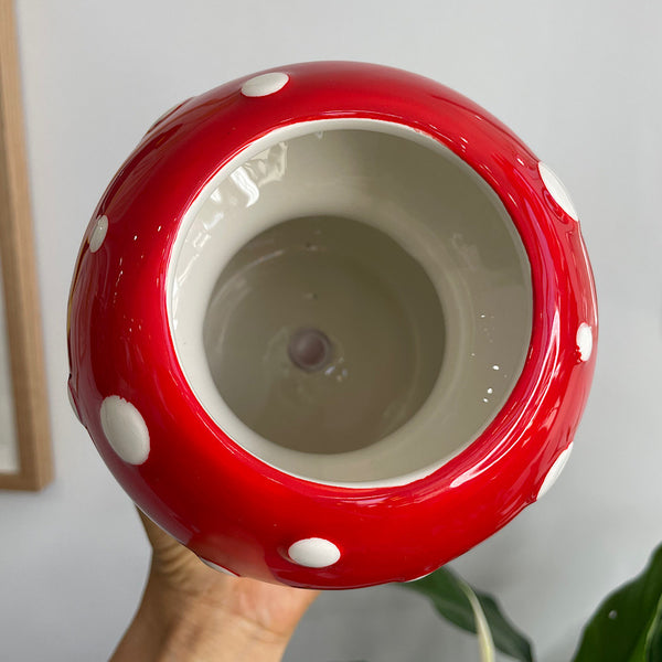Toadstools with Toadstools Planter Pot Red