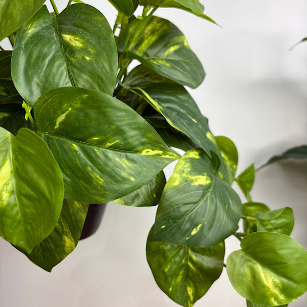 Artificial Pothos Hanging Pot Plant