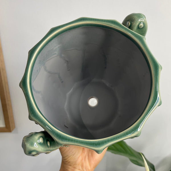 Cactus Planter Green 13cm
